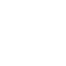Euismod Optimization